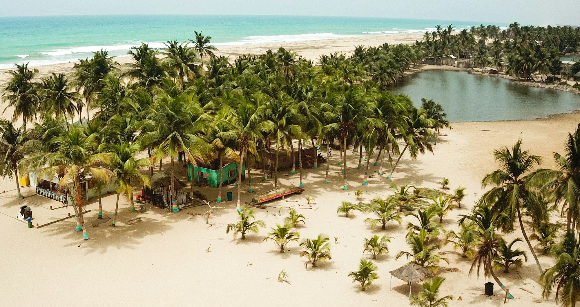 A beach with palm trees